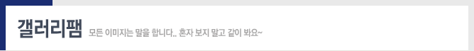 지금 뜨는 갤러리