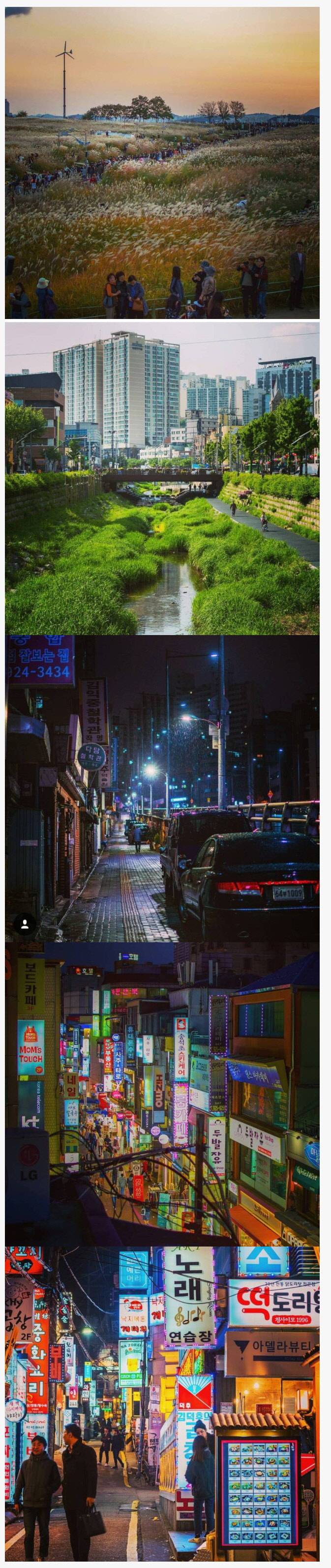 뉴질랜드에서 온 유학생이 찍은 한국 | 인스티즈