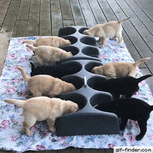 남의 떡이 커 보인다 | 인스티즈