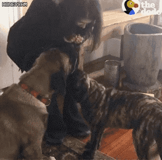 답답한 친구보개 | 인스티즈