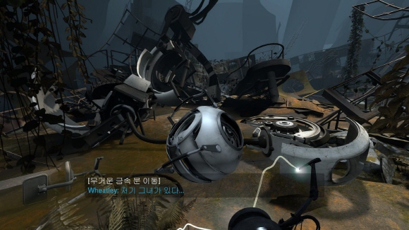 fs110504_055.jpg