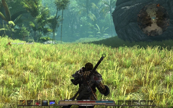 fs101230_014.jpg