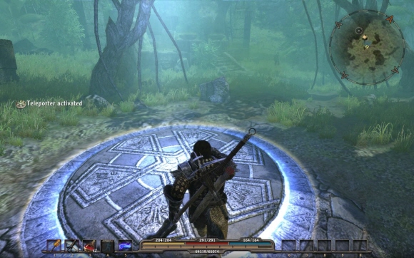 fs101230_016.jpg