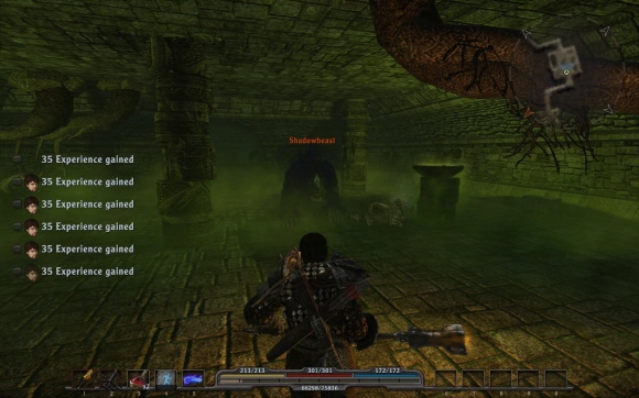 fs101230_022.jpg