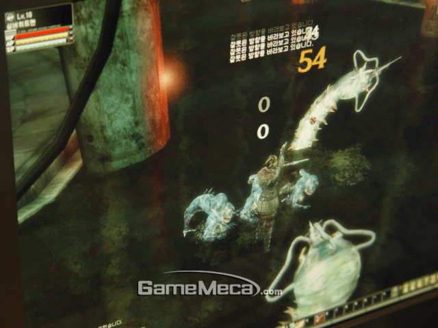 DSC03474.gif