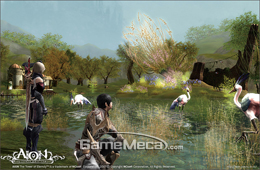 thum2_244444.jpg