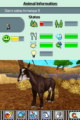 antelope.bmp
