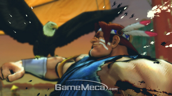SSF4.jpg