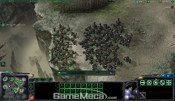100223-risell-sc2.jpg