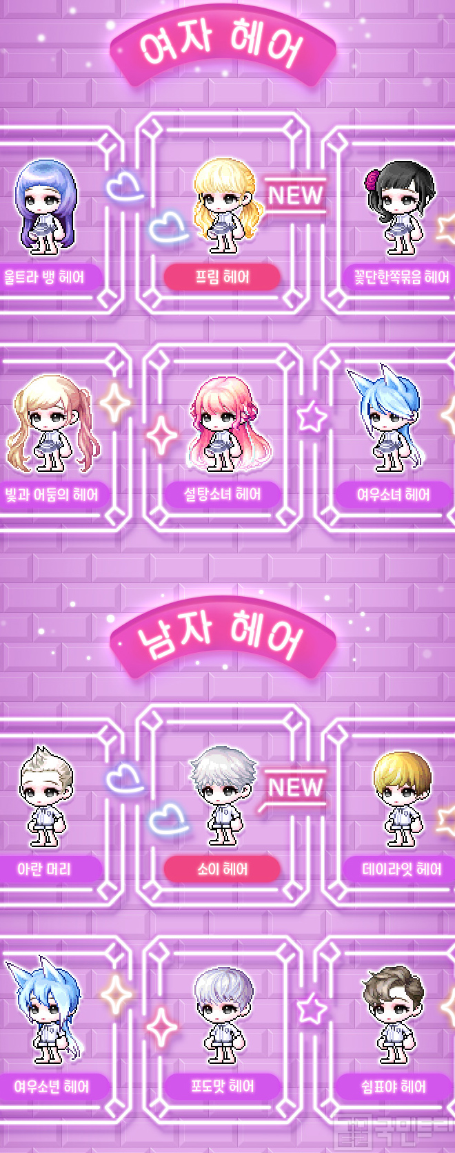 메이플 m 쿠폰 (97) 사진